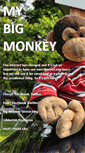Mobile Screenshot of mybigmonkey.com